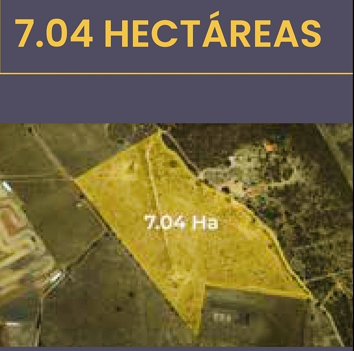 7 de 7
