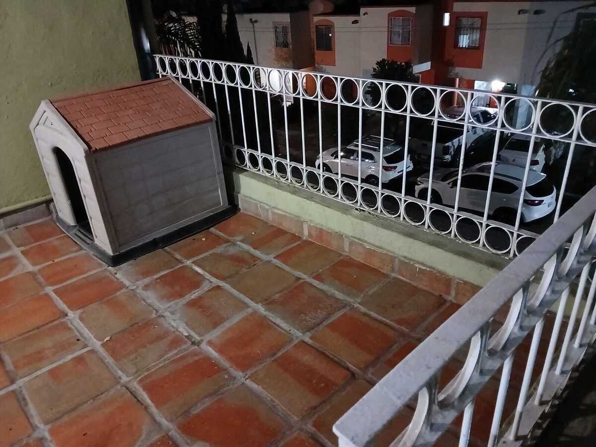 5 de 39