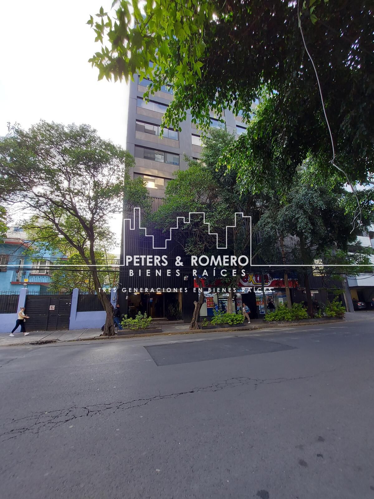 5 de 24