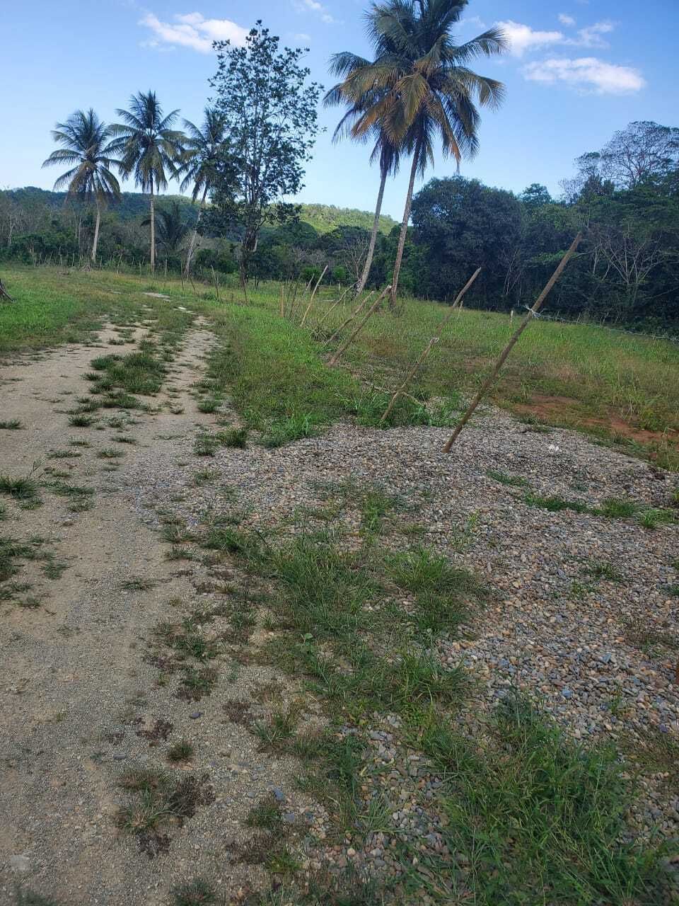 3 de 3