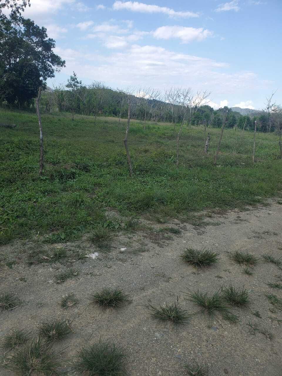 2 de 3