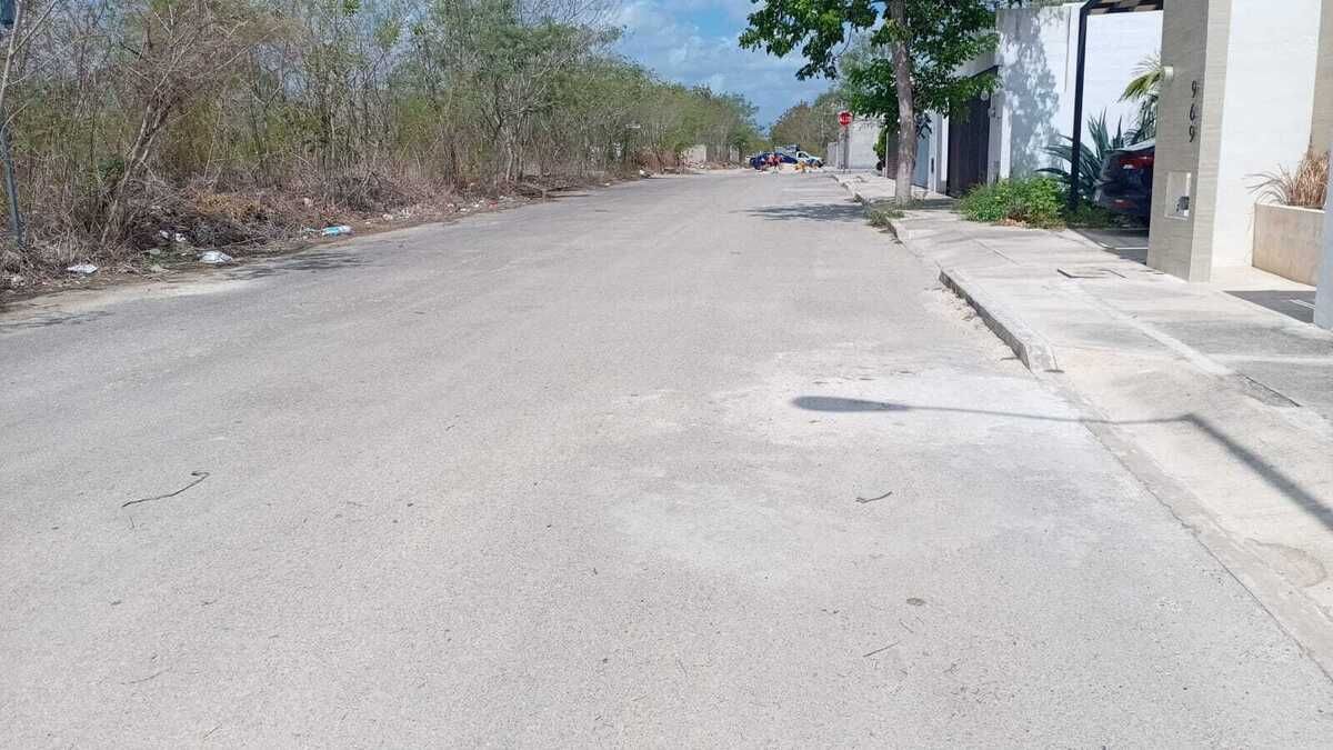 3 de 6