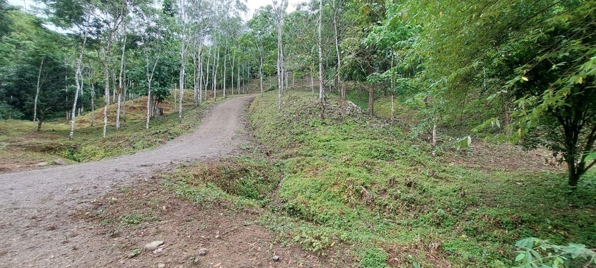 3 de 49
