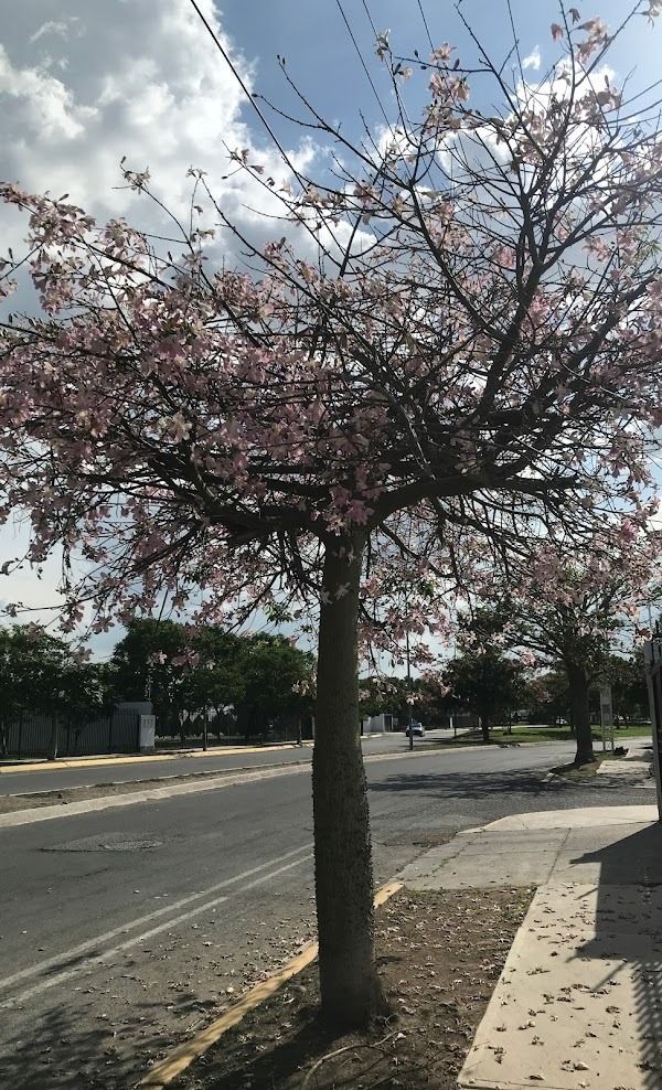 5 de 6
