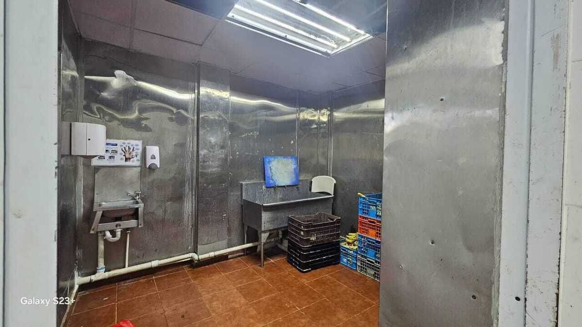 4 de 18