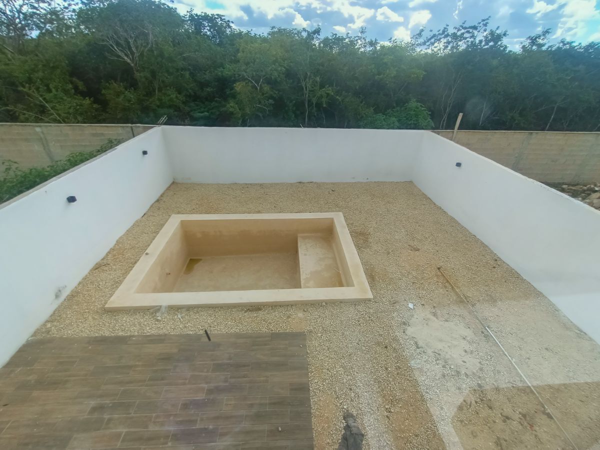 11 de 31