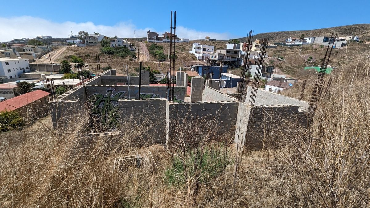 2 de 11