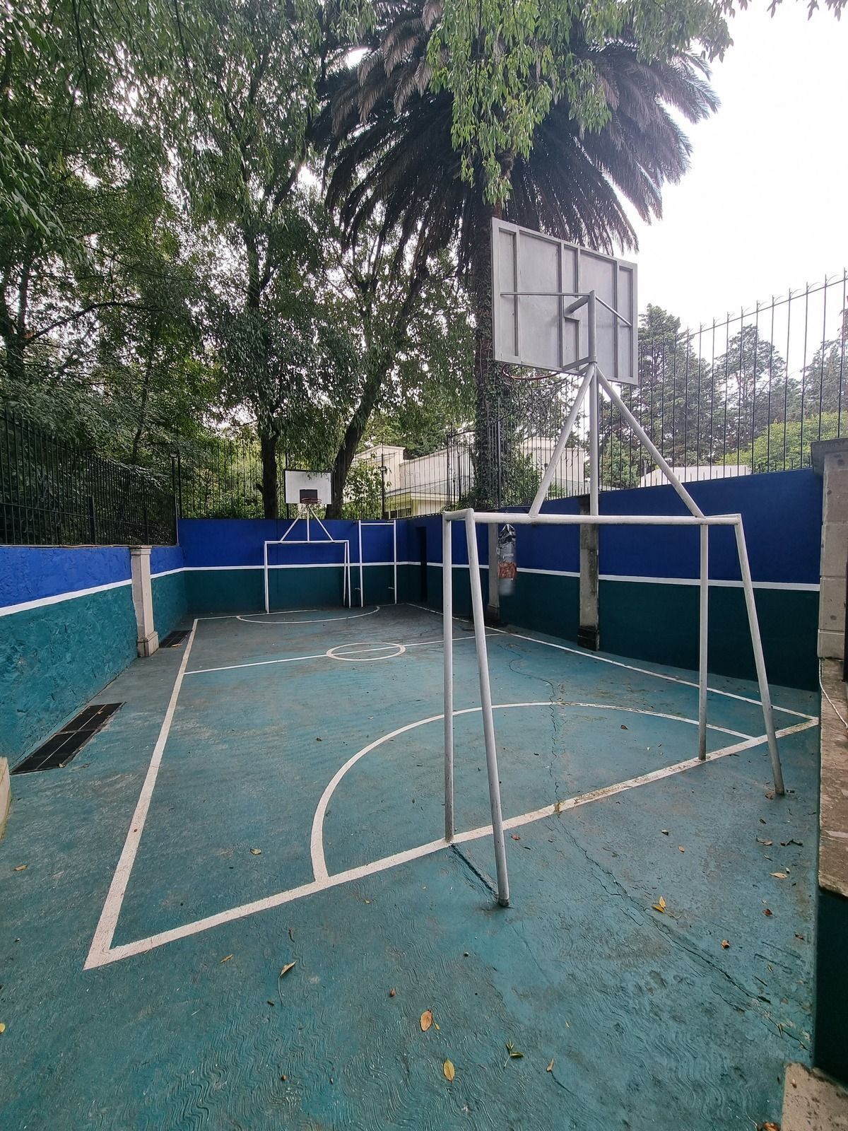 29 de 38