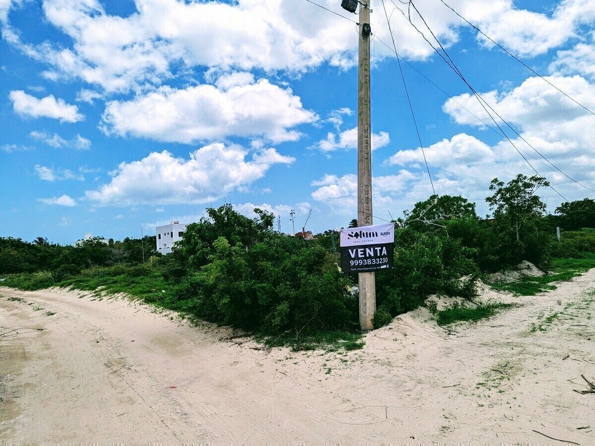 1 de 13