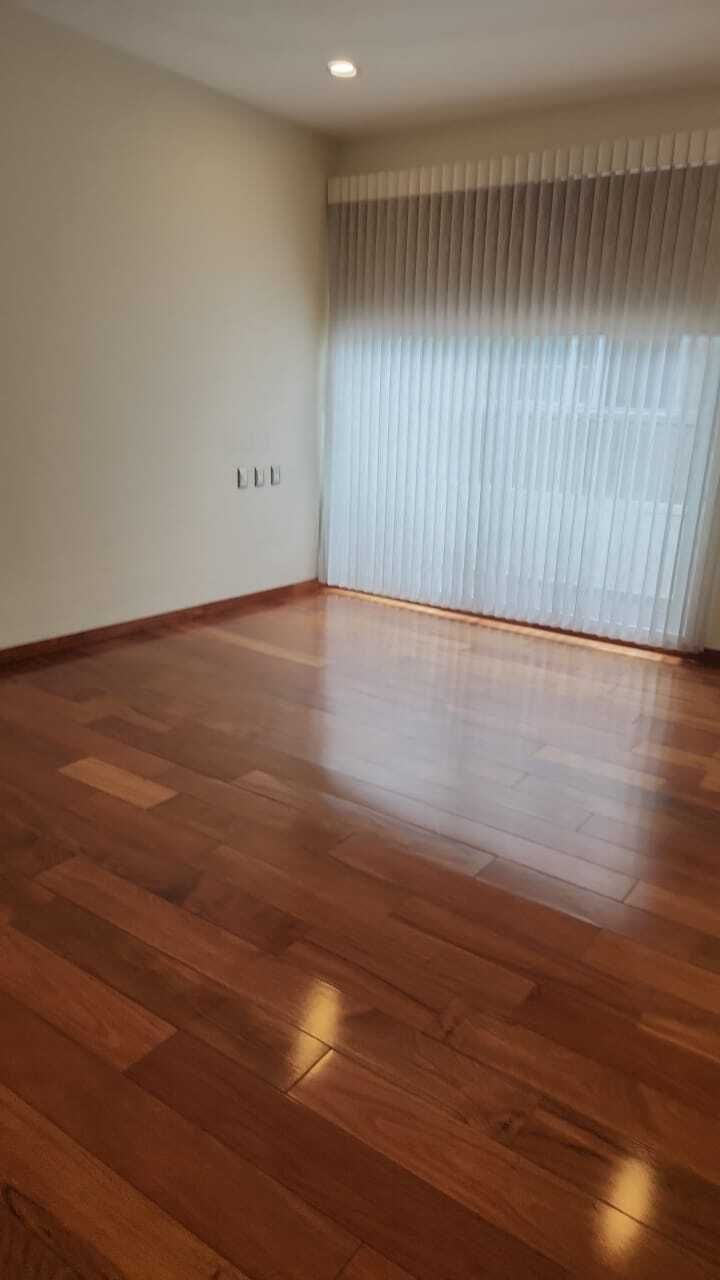 19 de 24