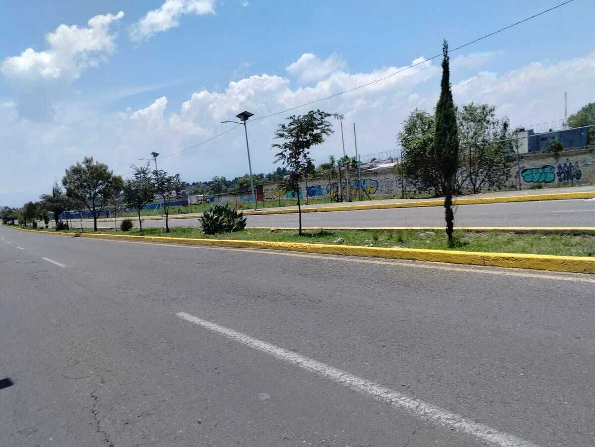 7 de 7