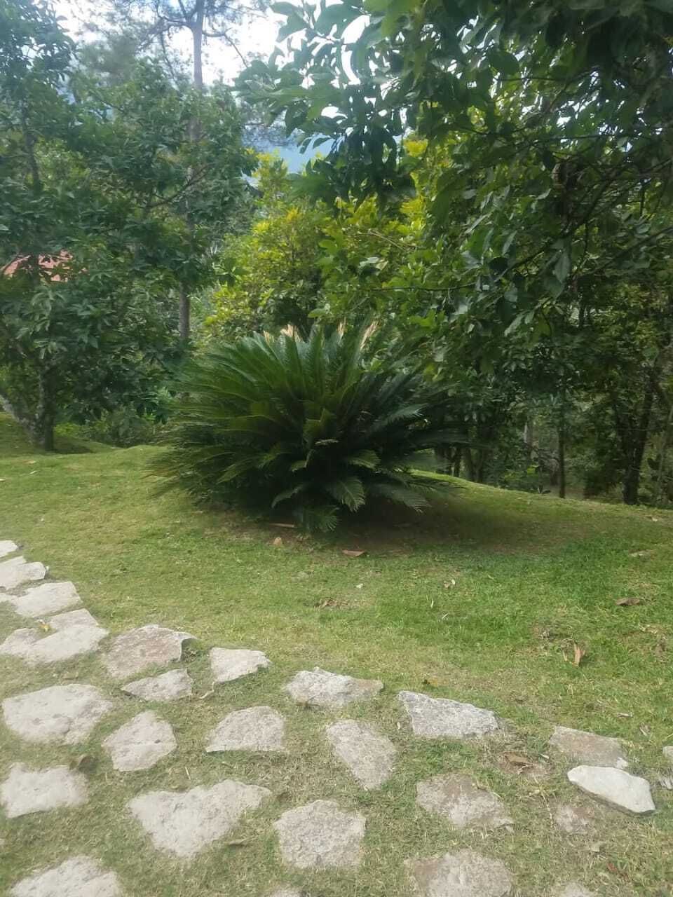 13 de 17