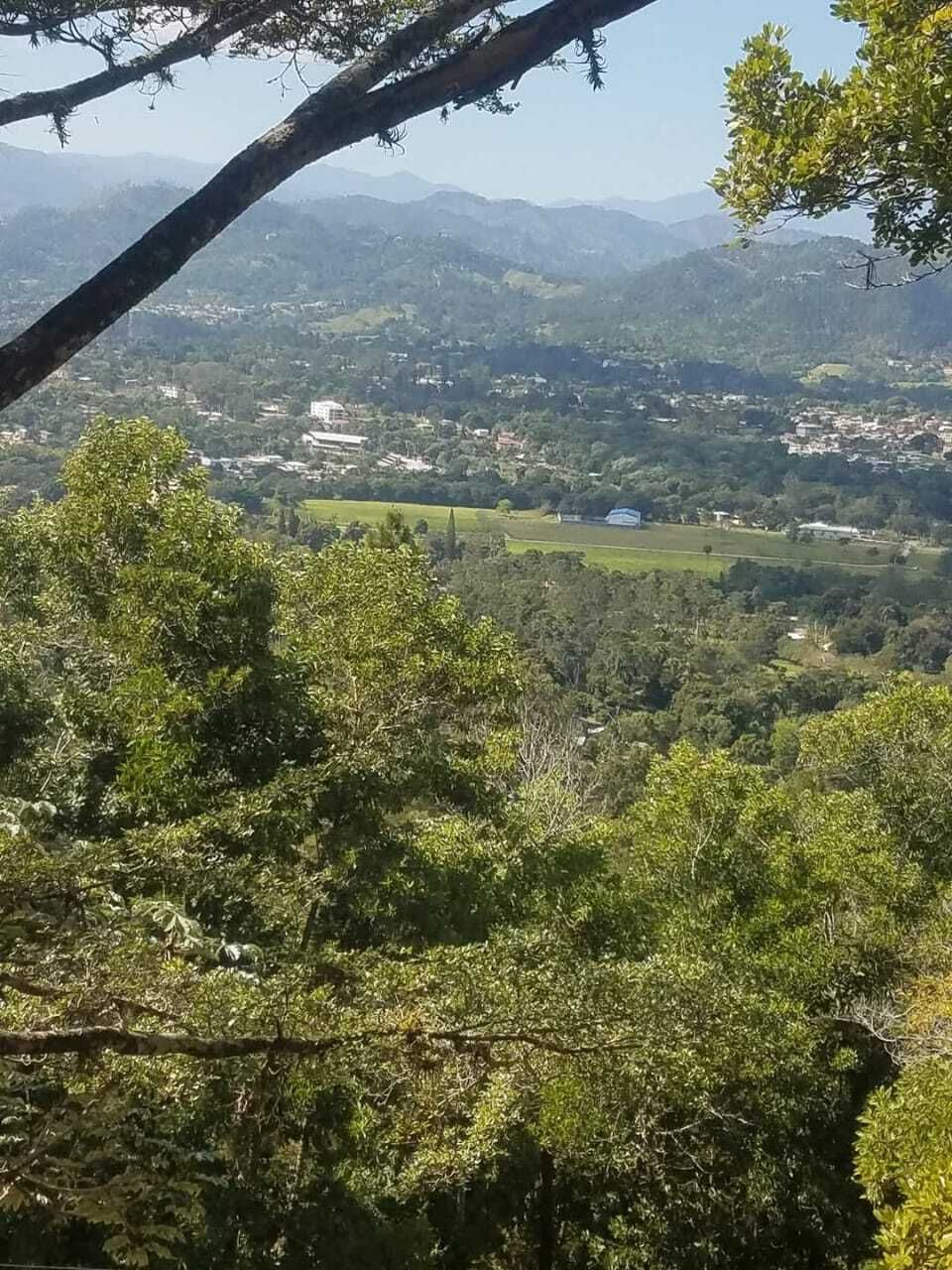17 de 17