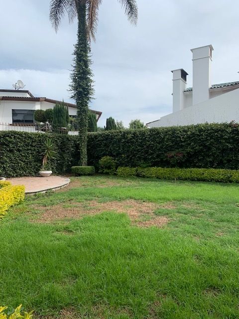 34 de 39: JARDIN