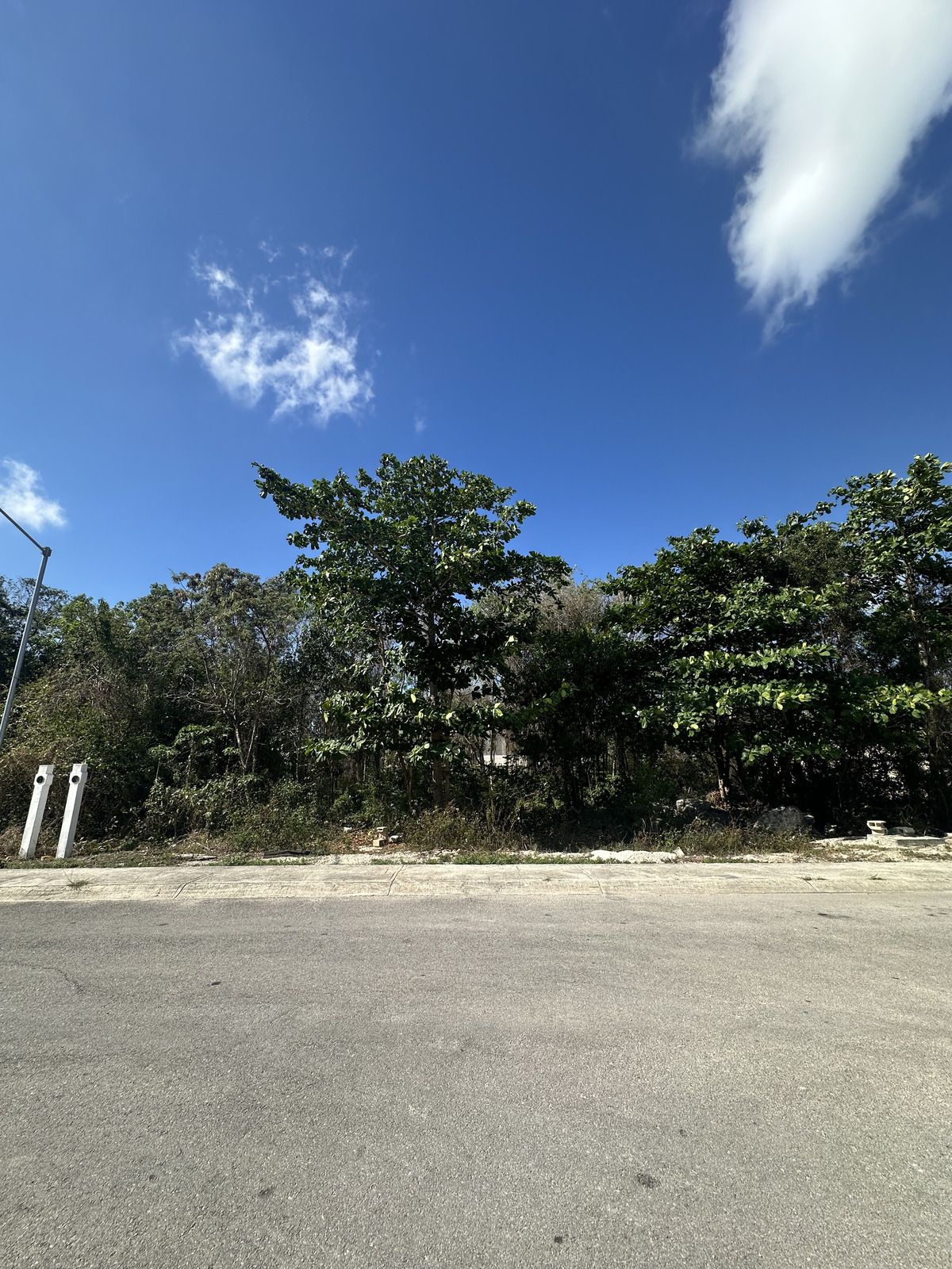 2 de 7: Terreno