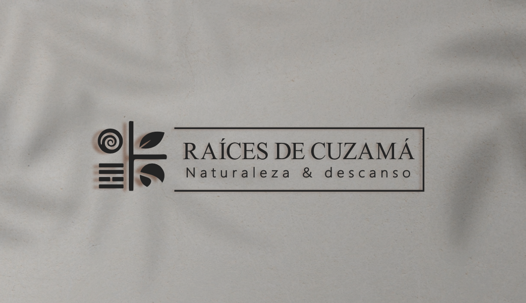 1 de 17