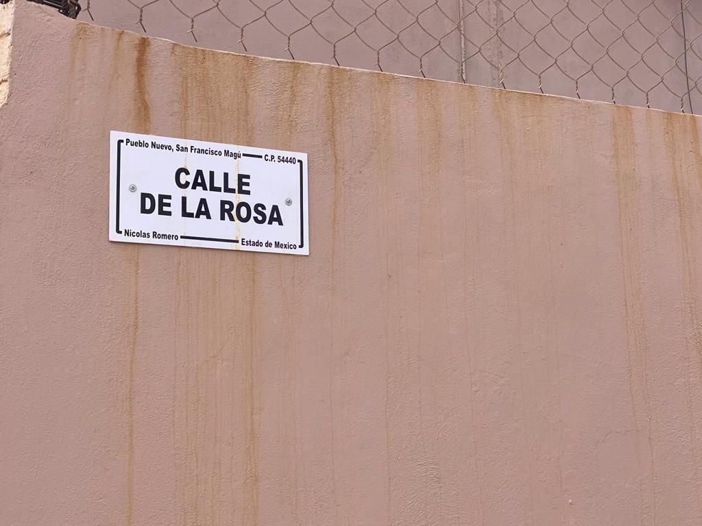 4 de 12