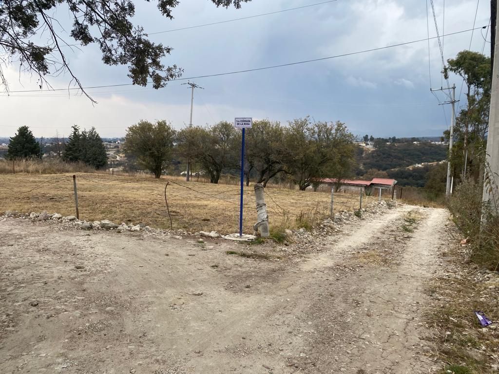 8 de 12