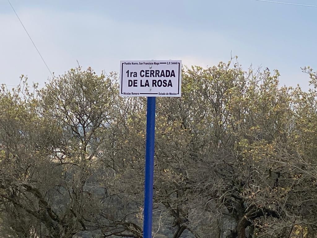 4 de 12