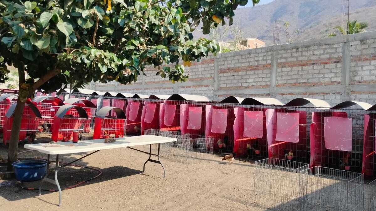 5 de 13