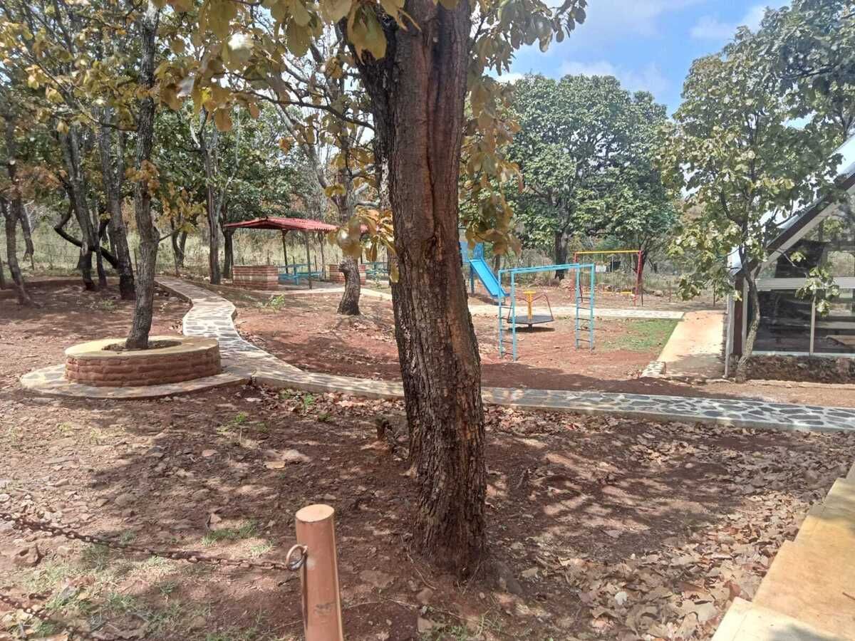 10 de 14