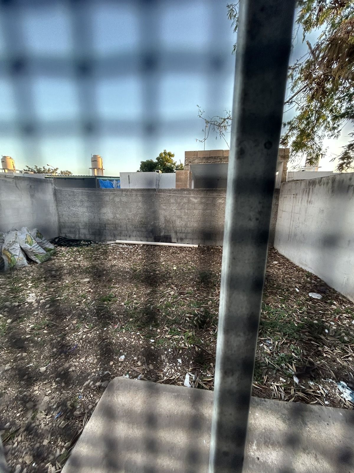 12 de 23