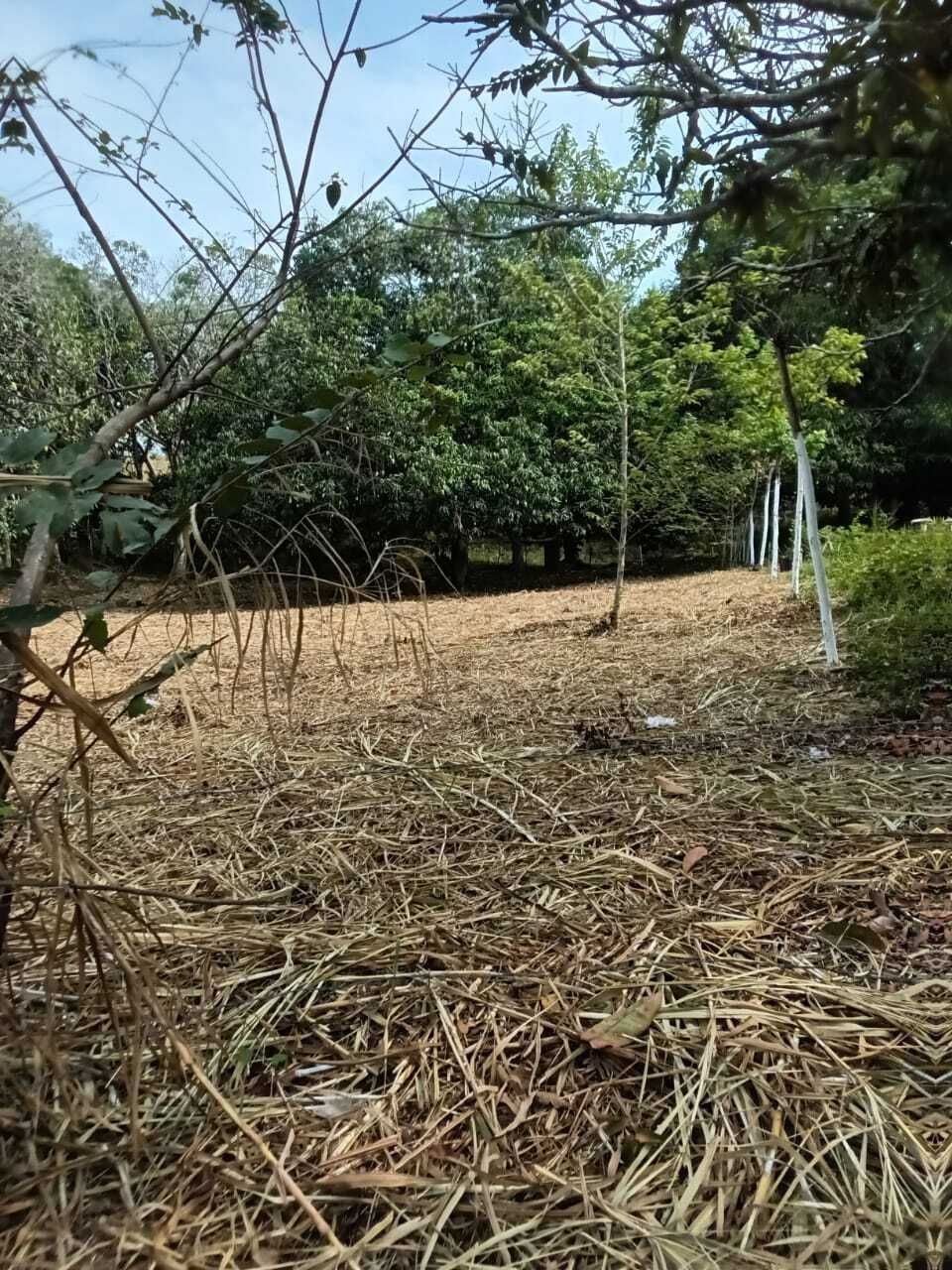 5 de 11