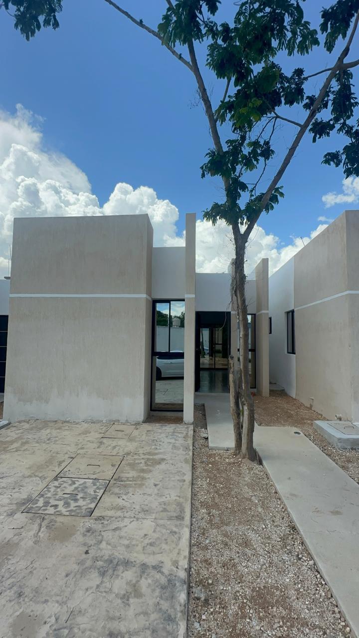 5 de 11