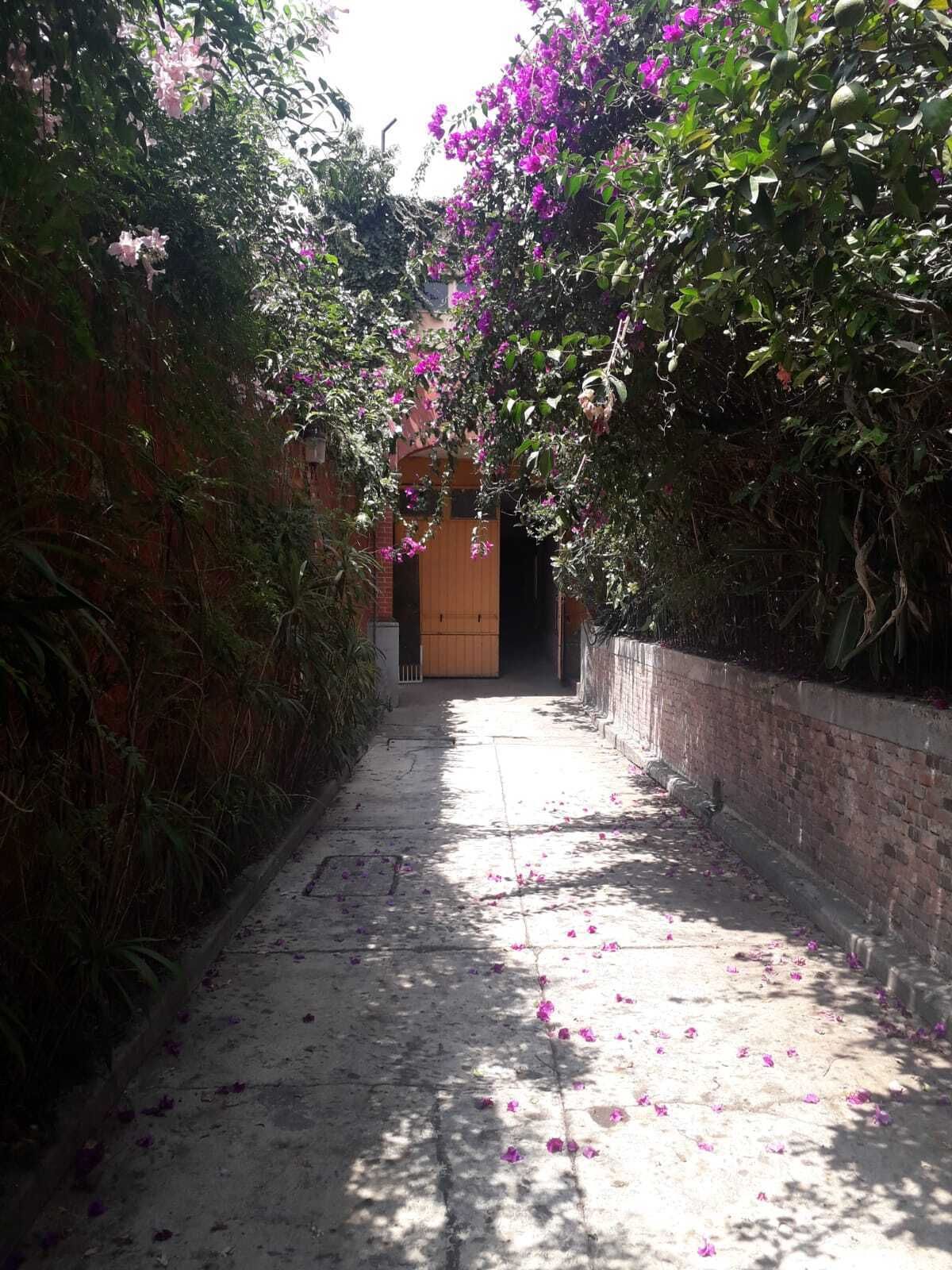 10 de 11