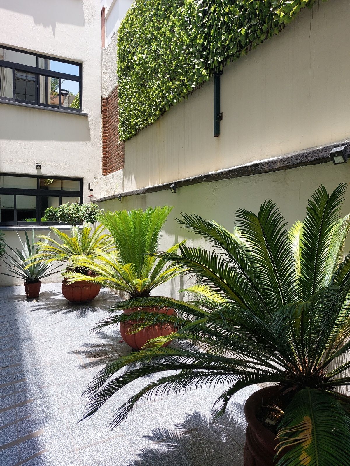 1 de 16: Patio común