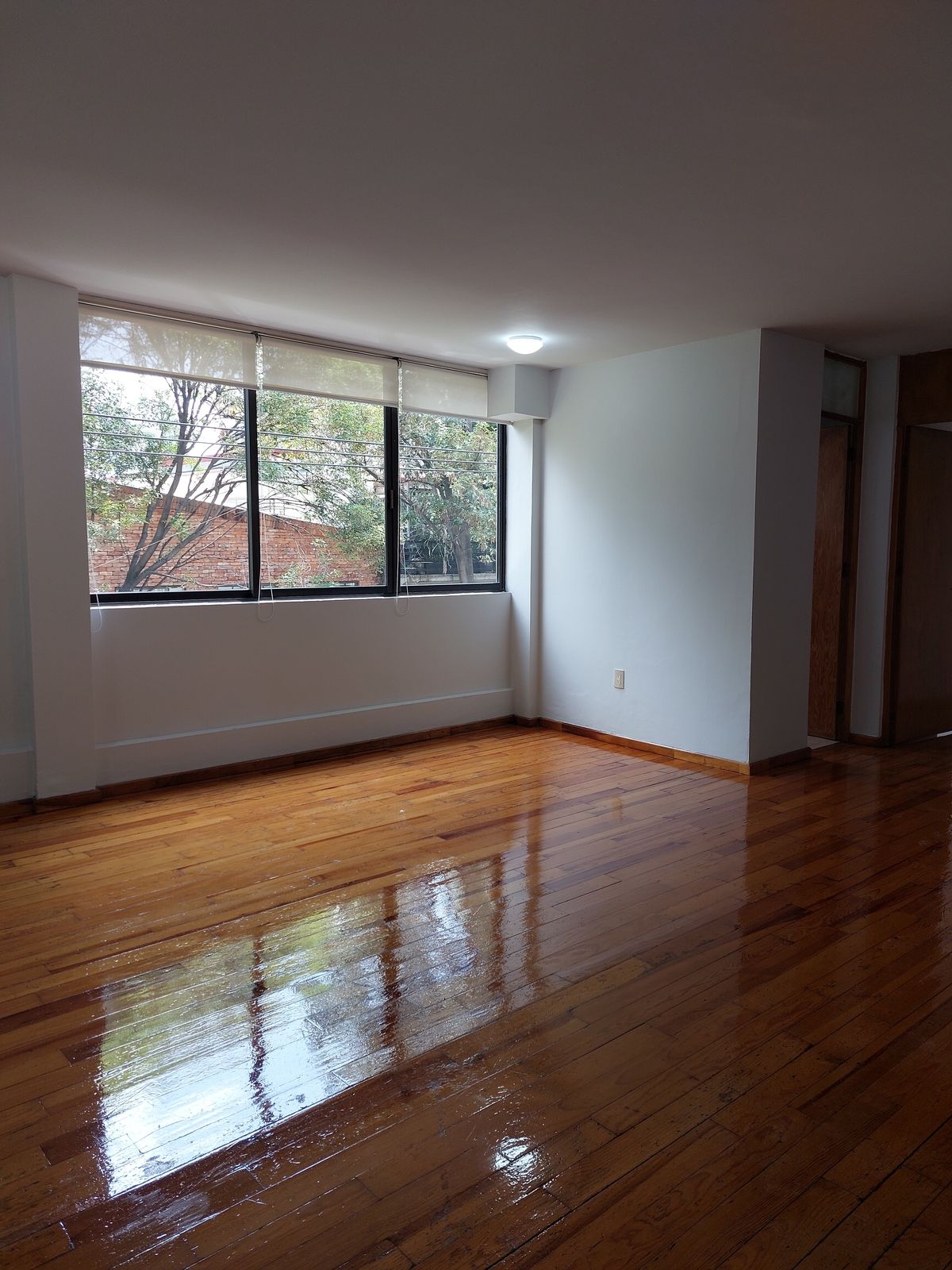 2 de 16: Sala-Comedor