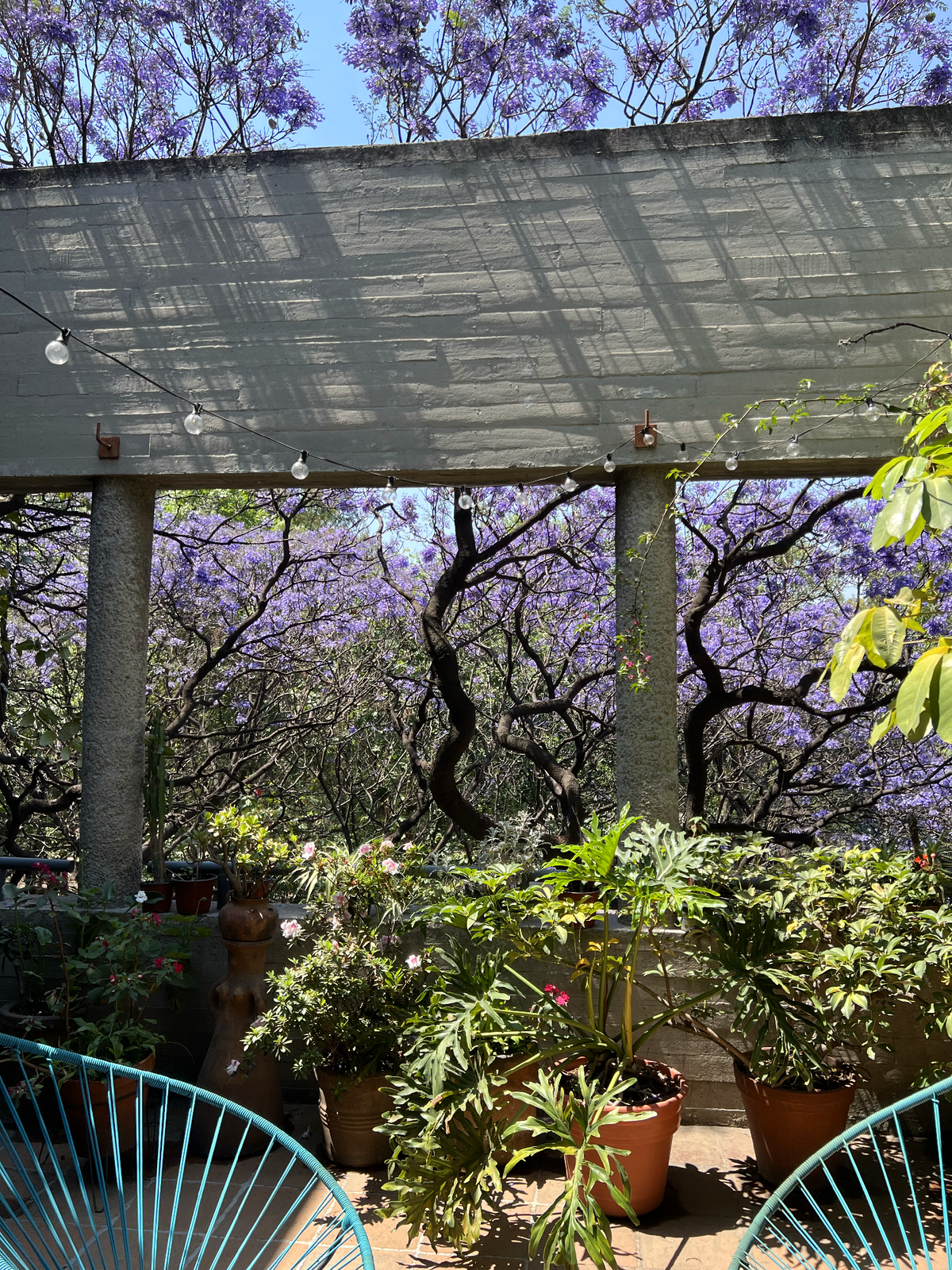 Imagen 4 de 10