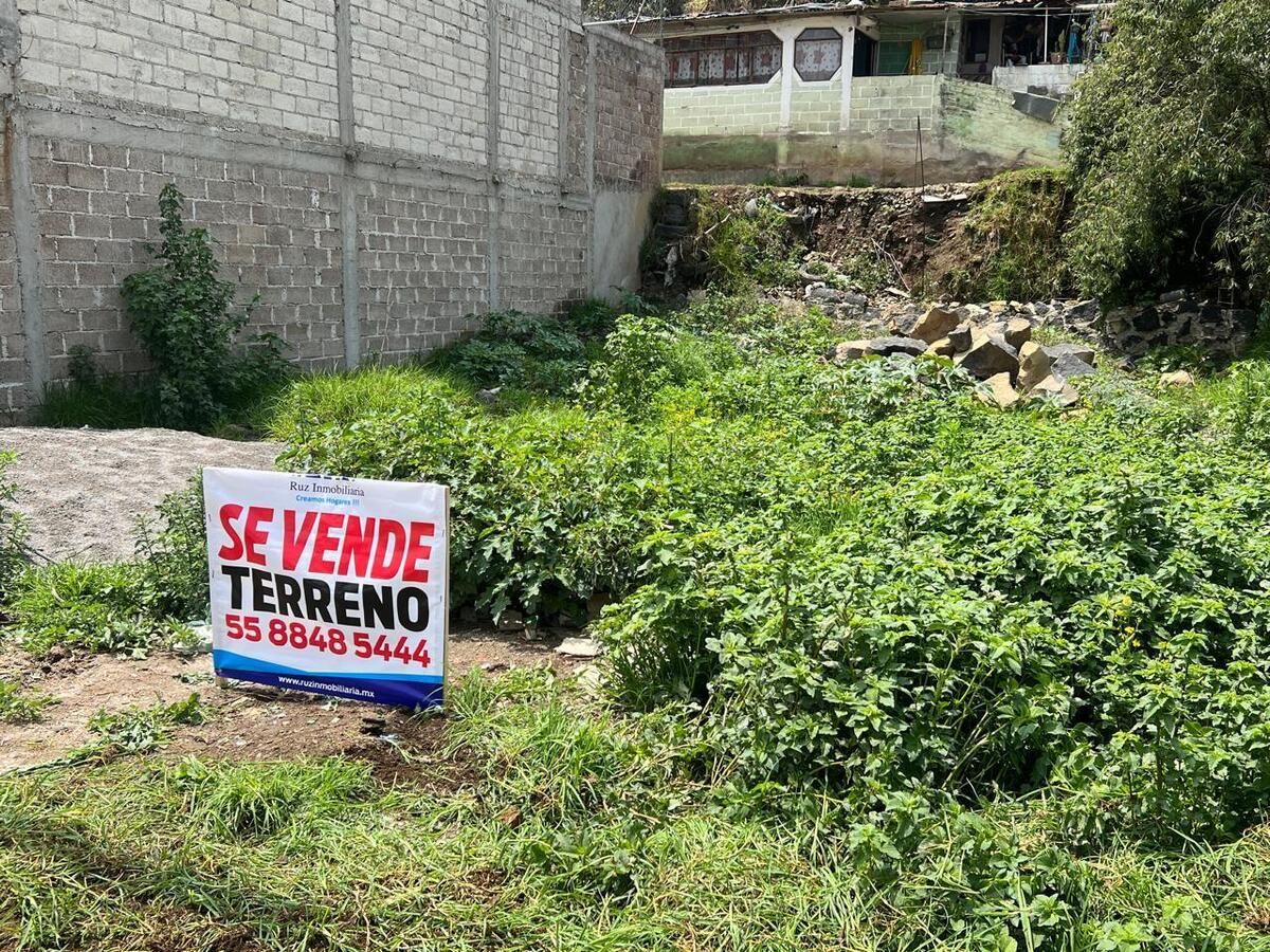 8 de 11