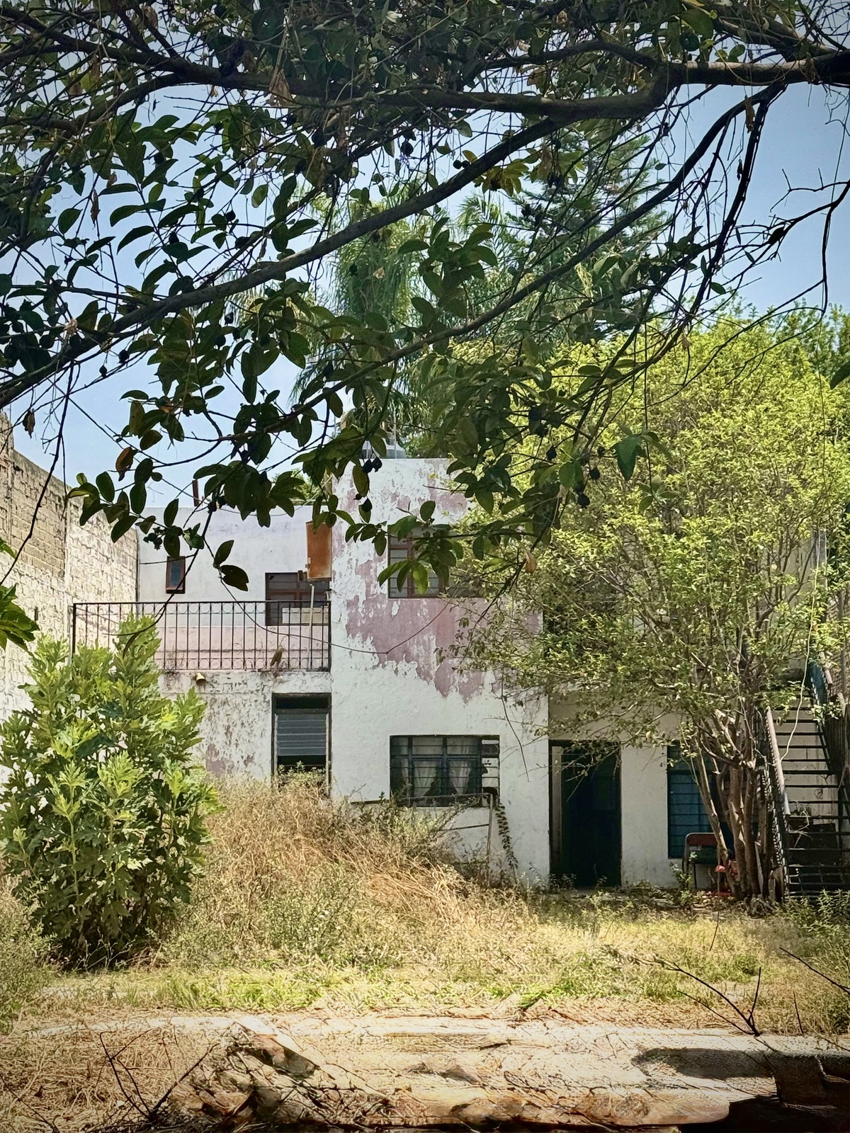 2 de 7