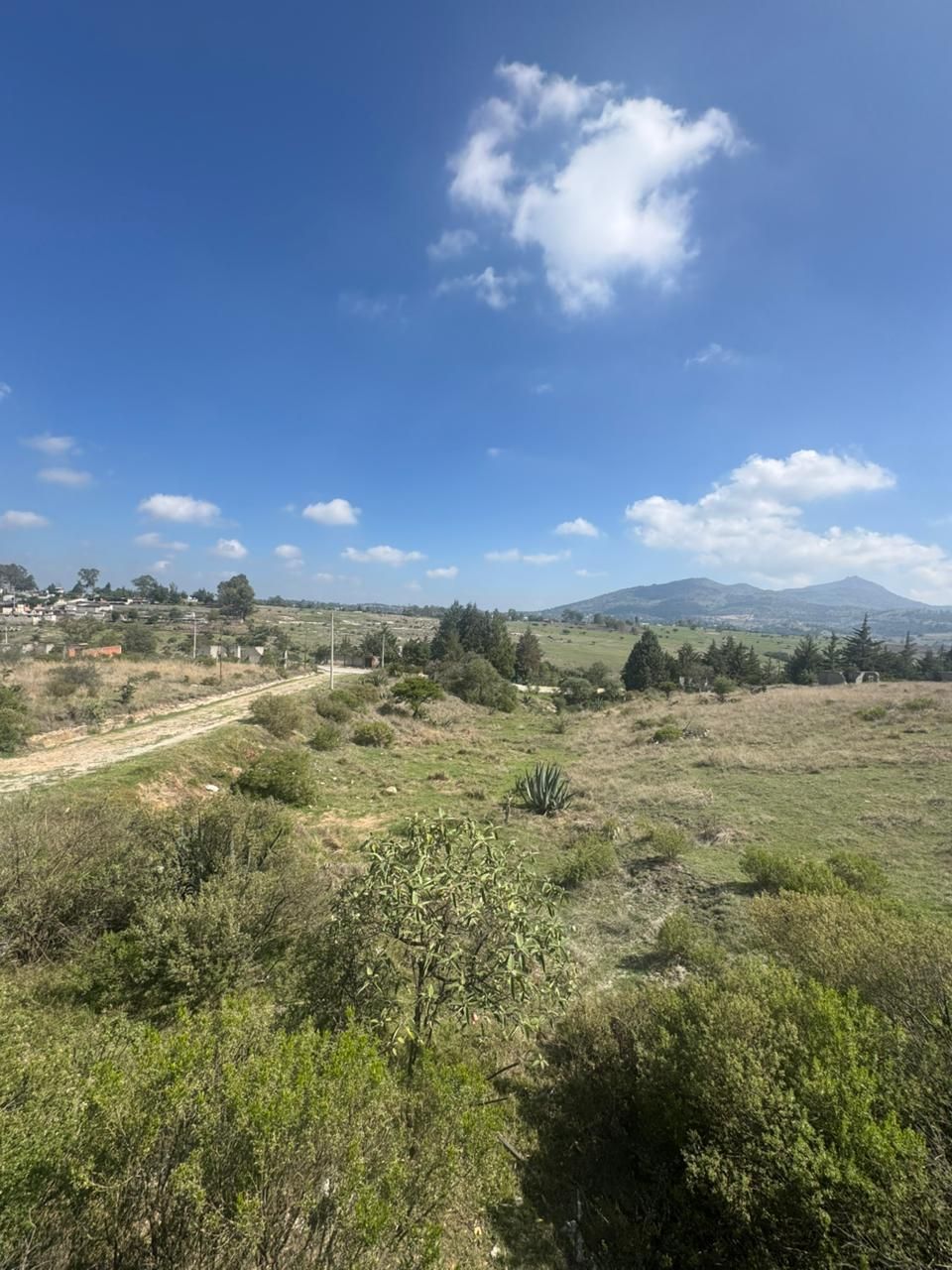 5 de 22