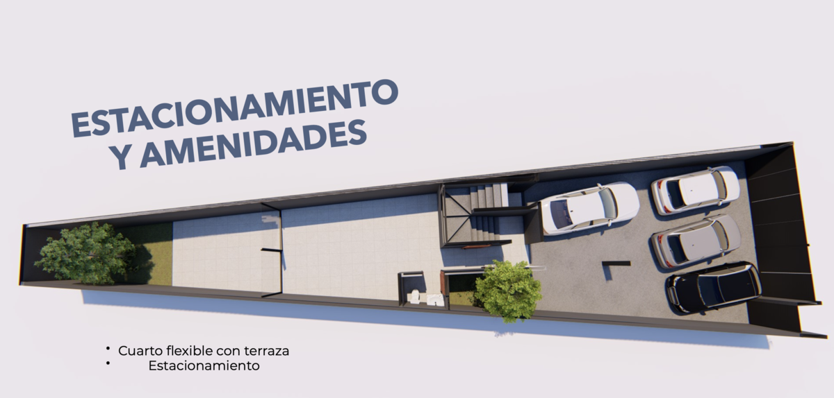 3 de 6
