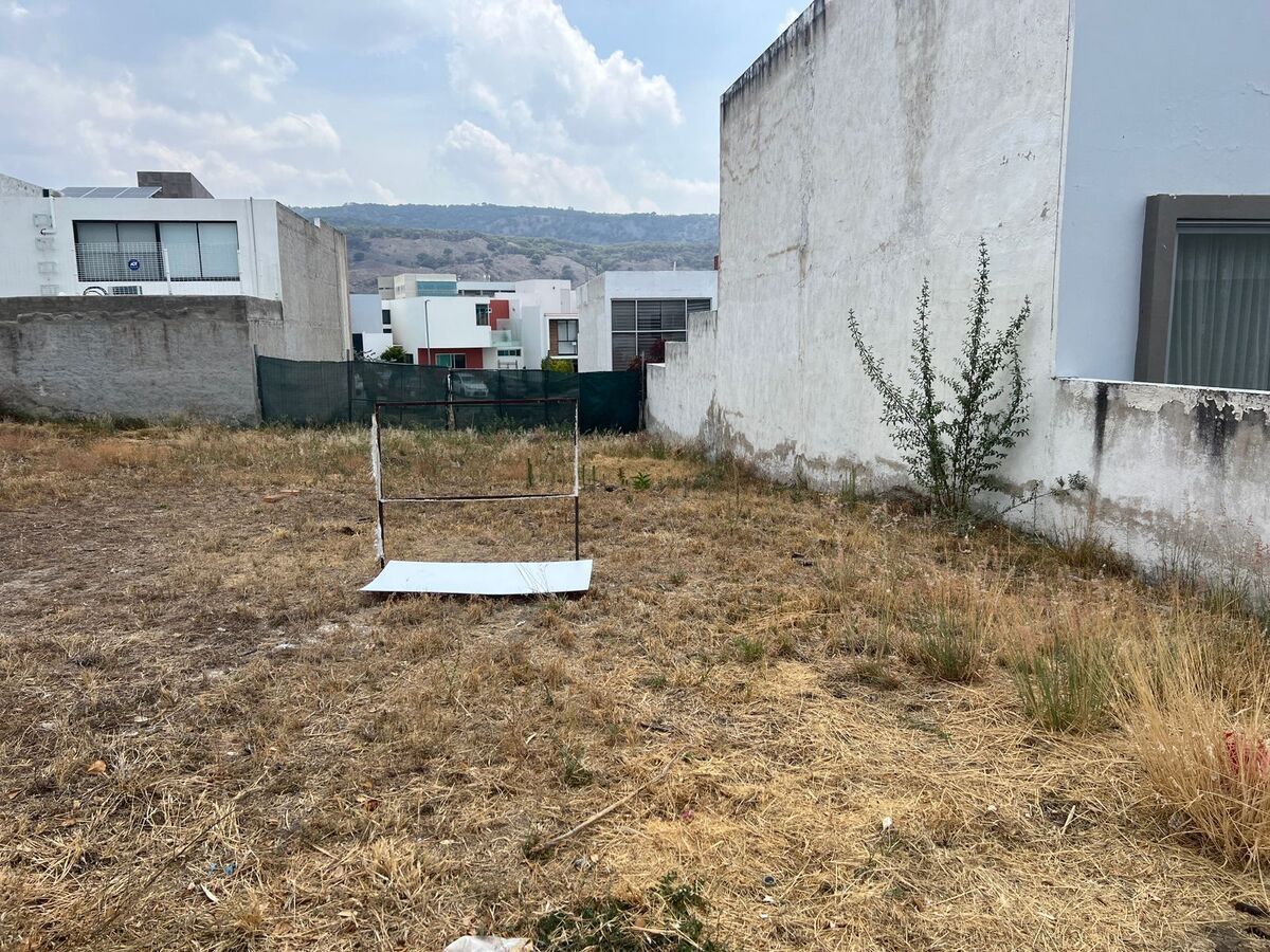 3 de 7