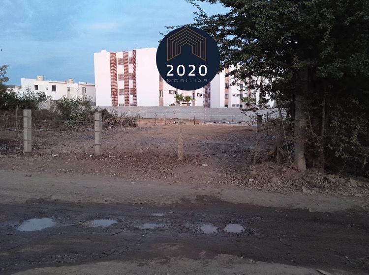 3 de 3