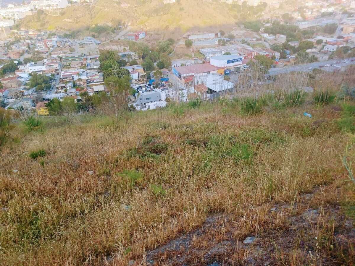 5 de 6