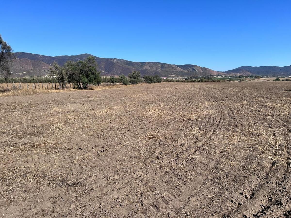 Hermosa Hectárea, 6900 m² en El Corazón de Valle de Guadalupe