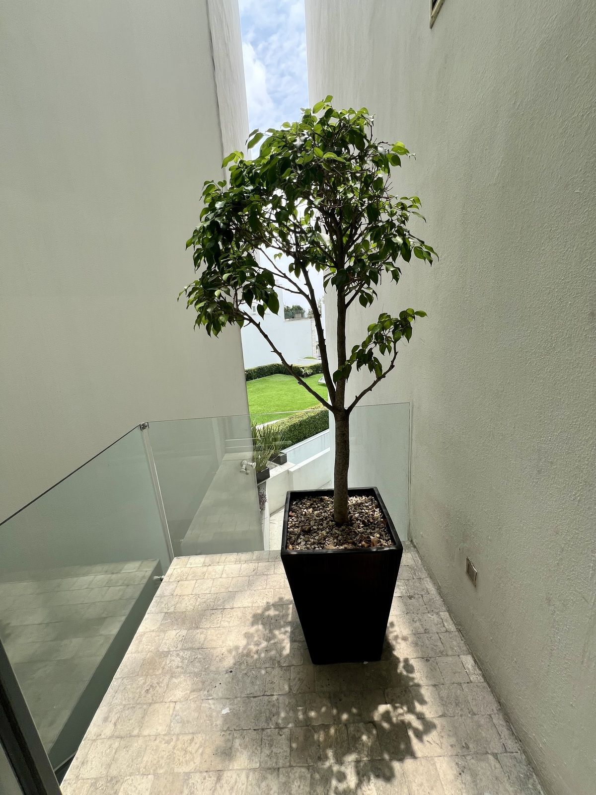 11 de 28: terraza planta alta