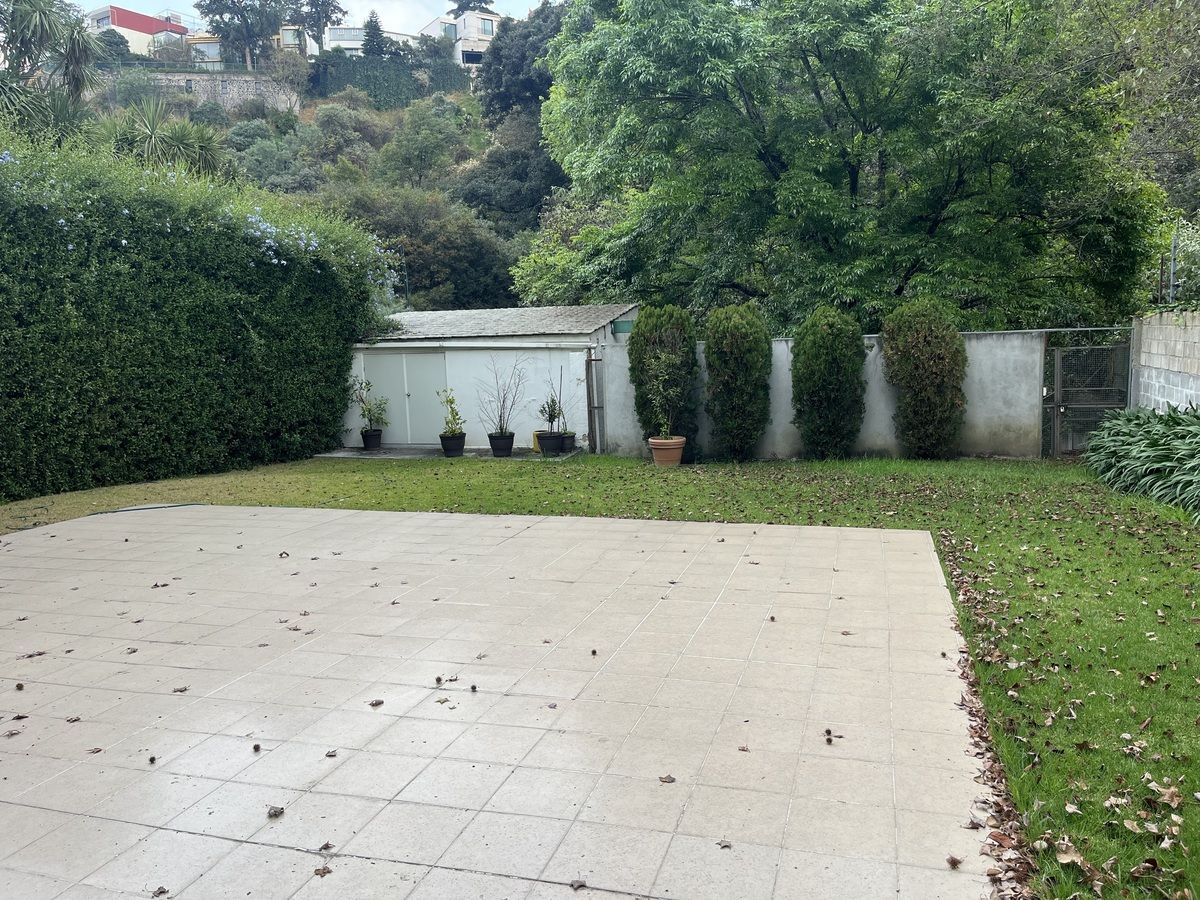 4 de 19: Terraza y bodega