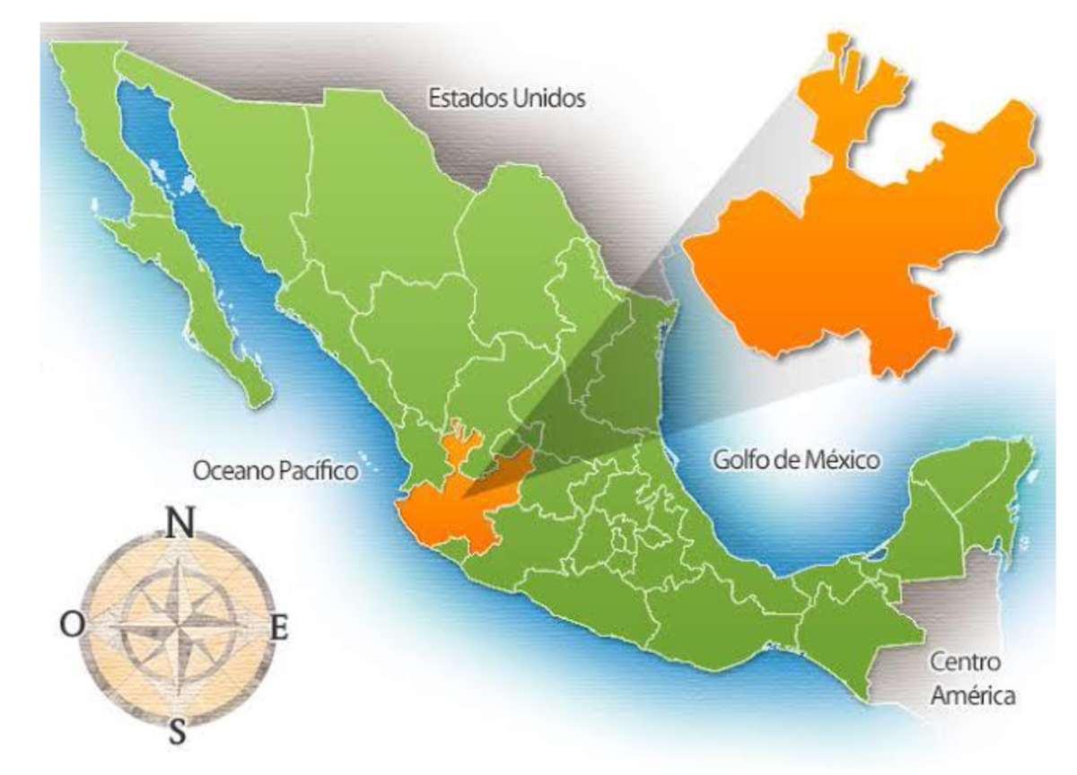 9 de 9