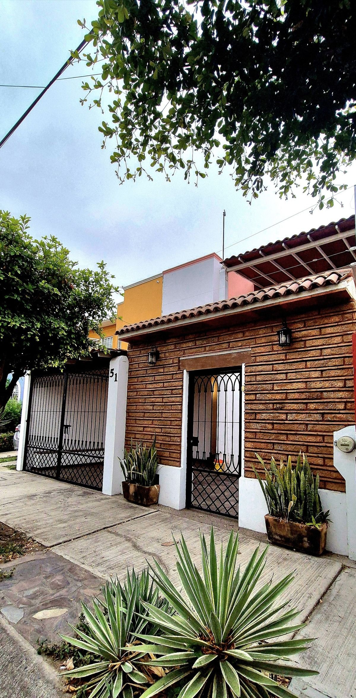 3 de 29