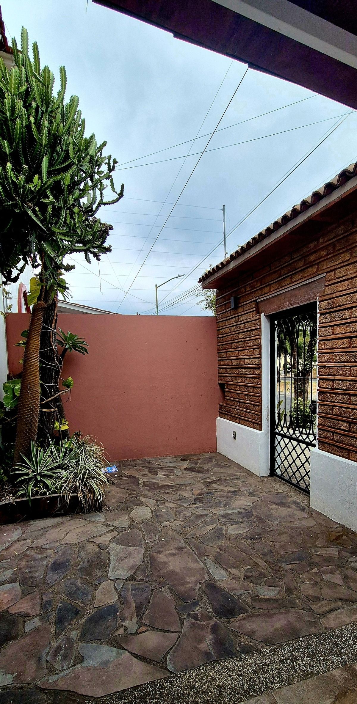 5 de 29