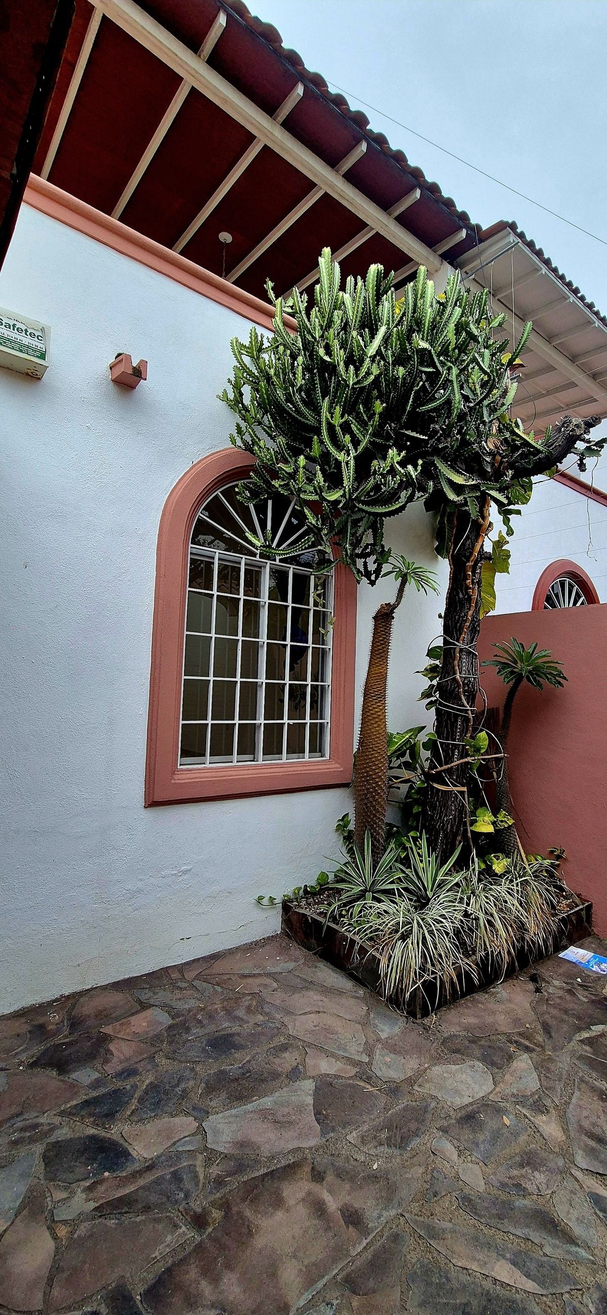 6 de 29