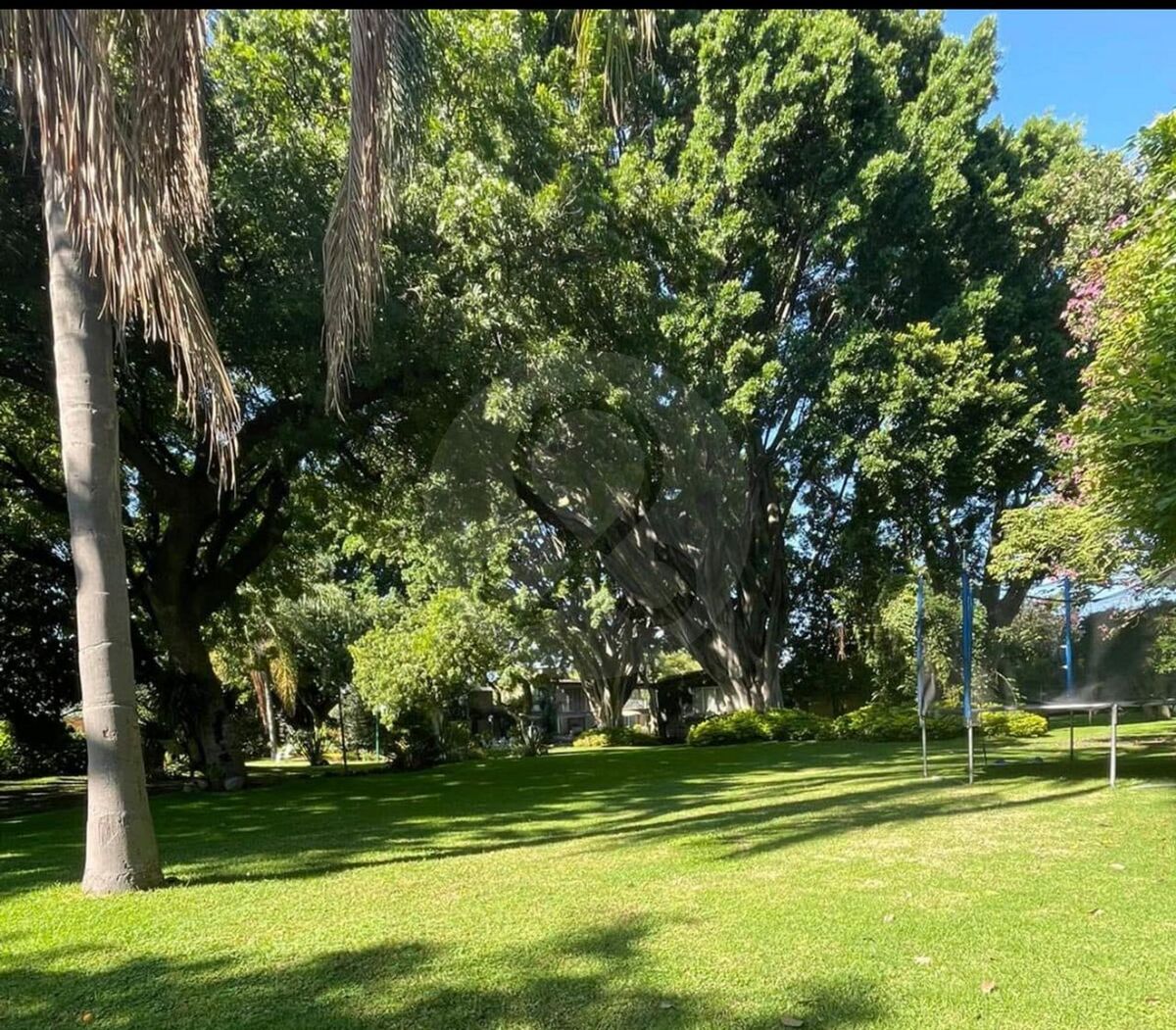 3 de 25