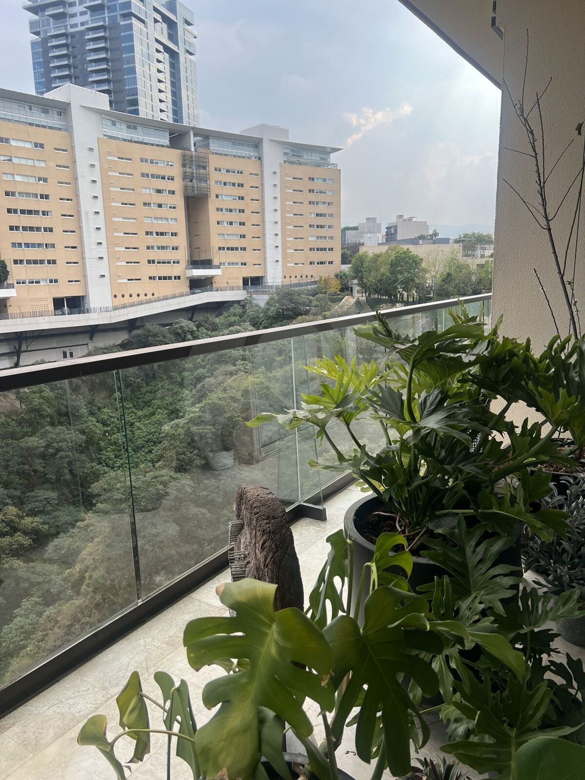 5 de 43