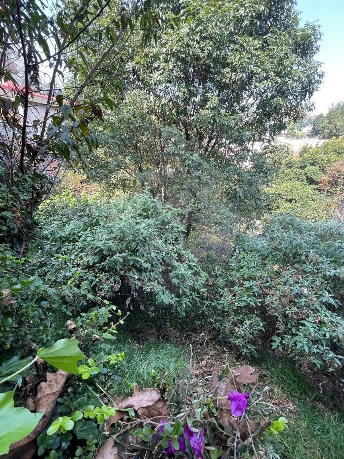 26 de 43