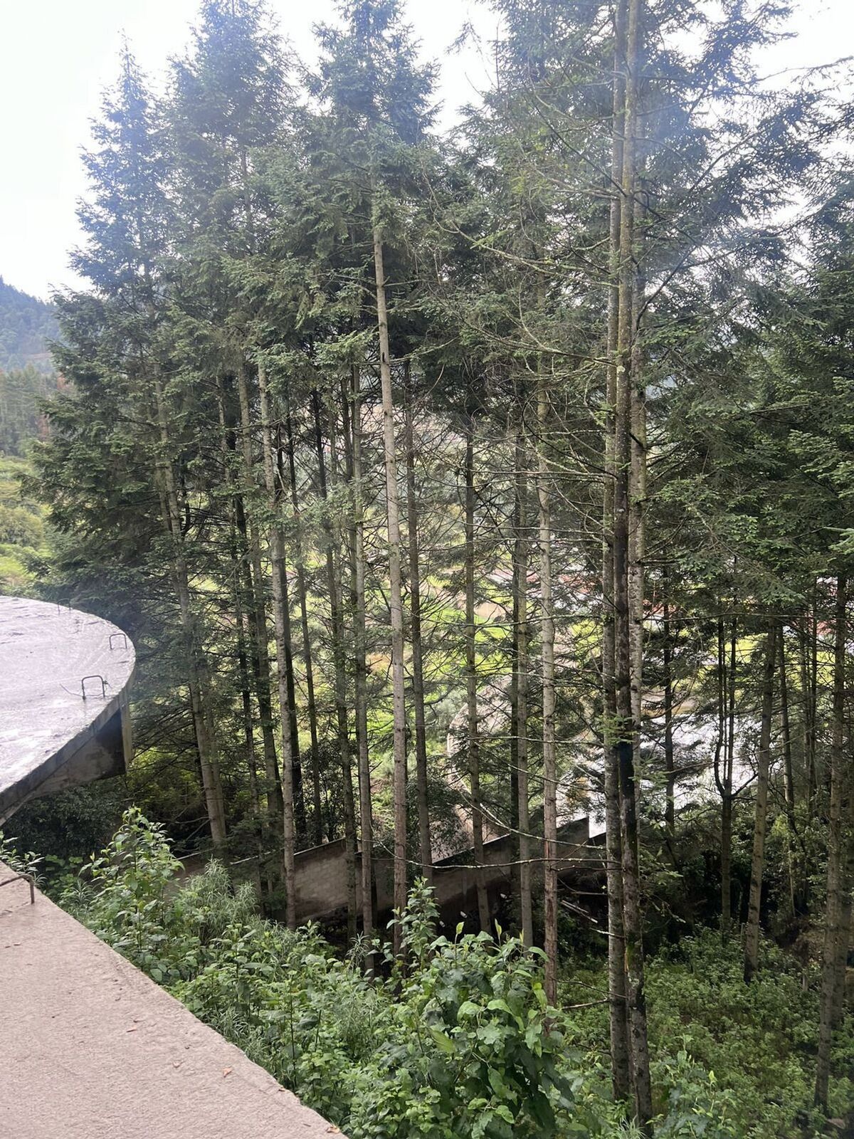 3 de 27
